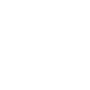disc icon
