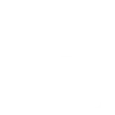 pdf icon